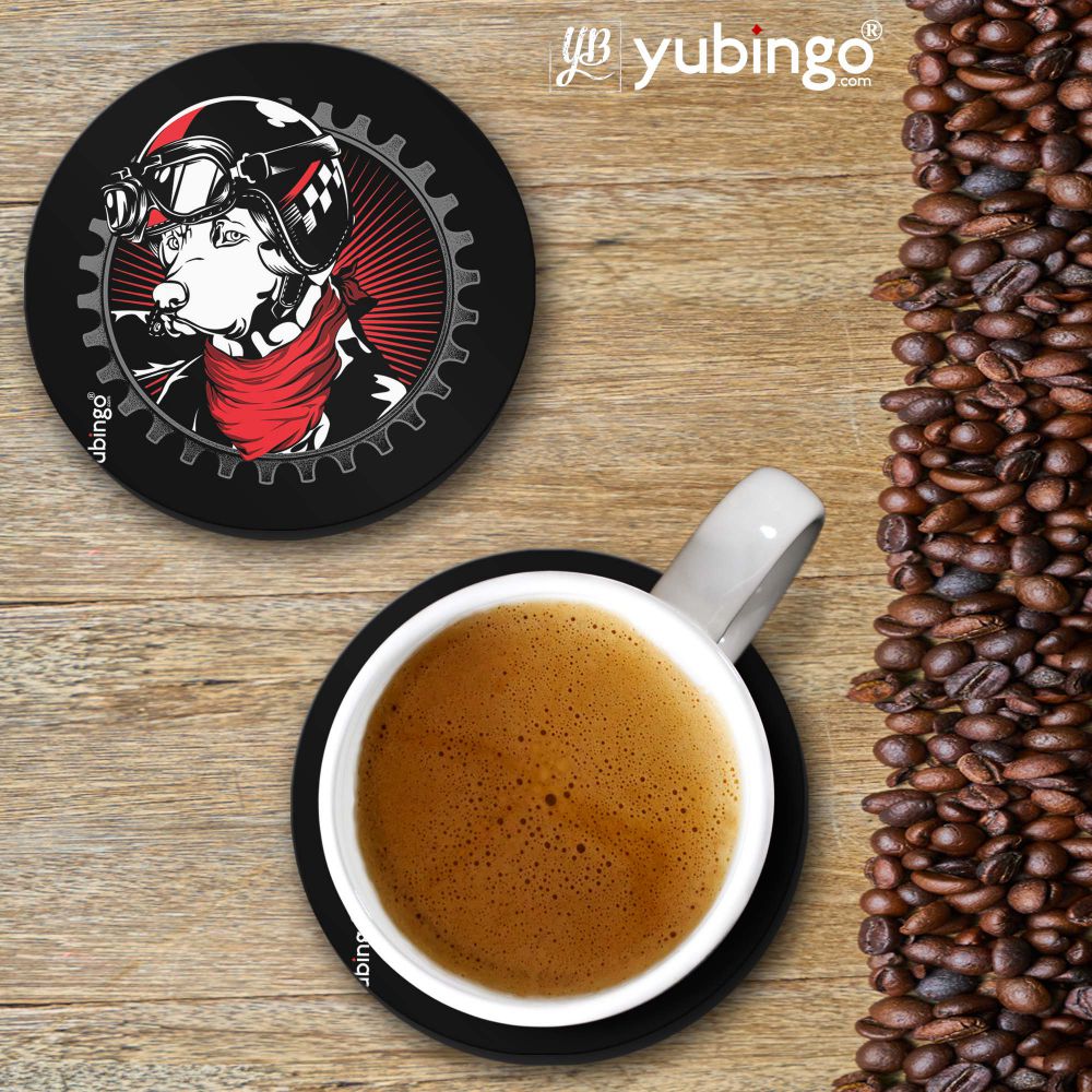 Reborn to Wild Coasters-Image2