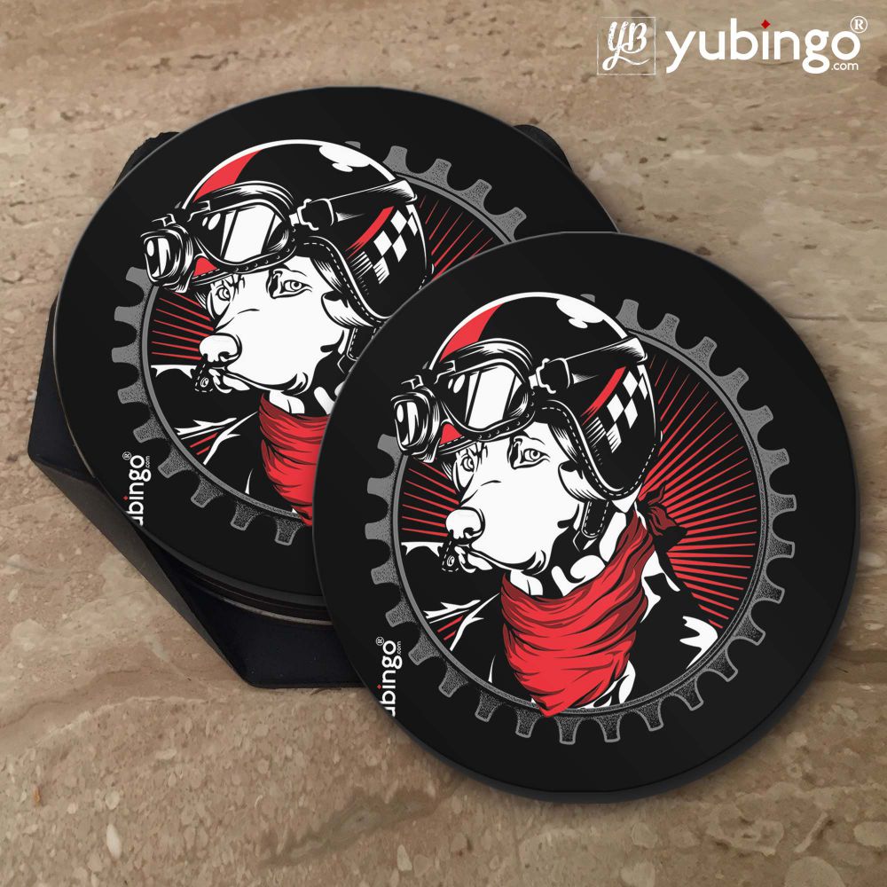 Reborn to Wild Coasters-Image5