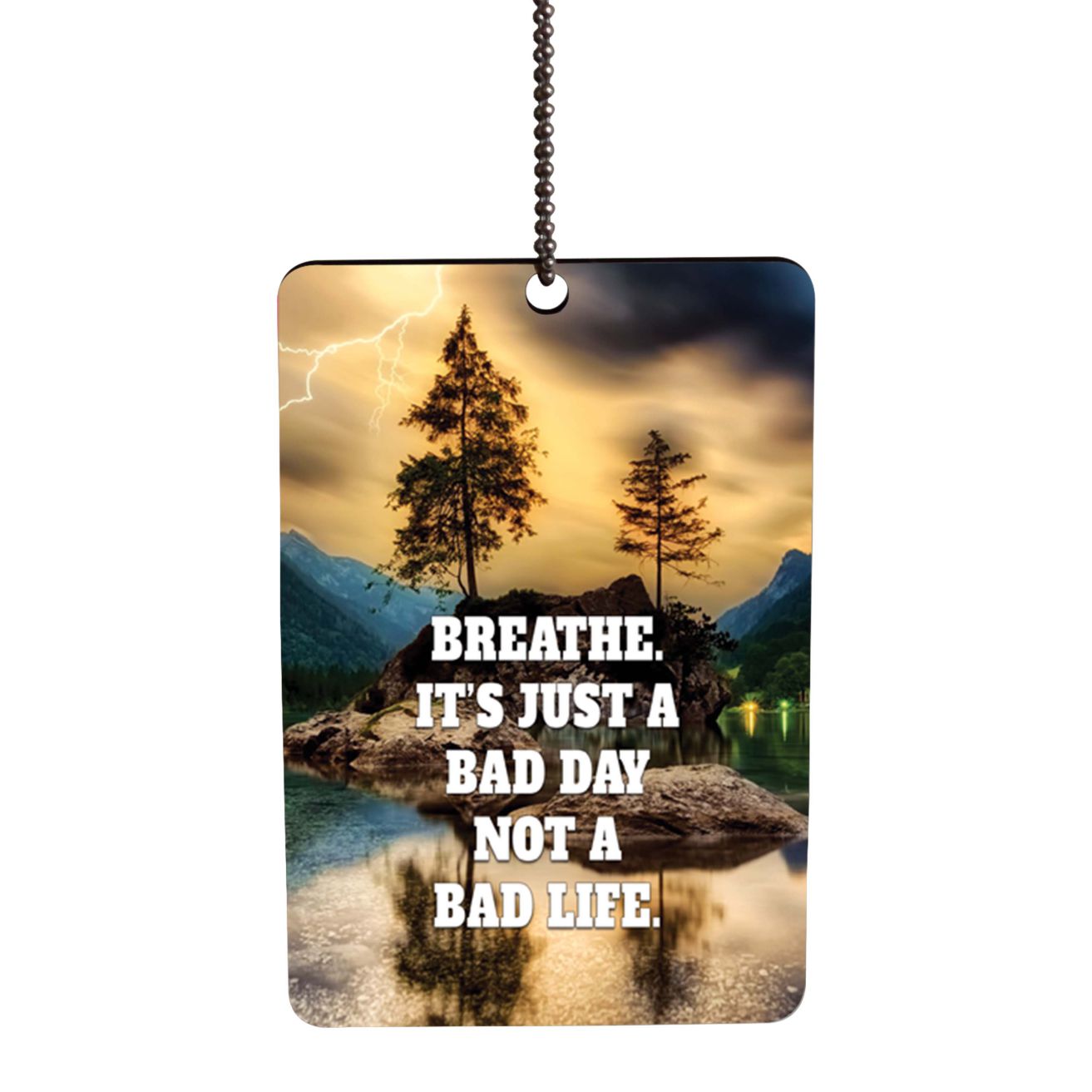 Its Not A Bad Life Car Hanging