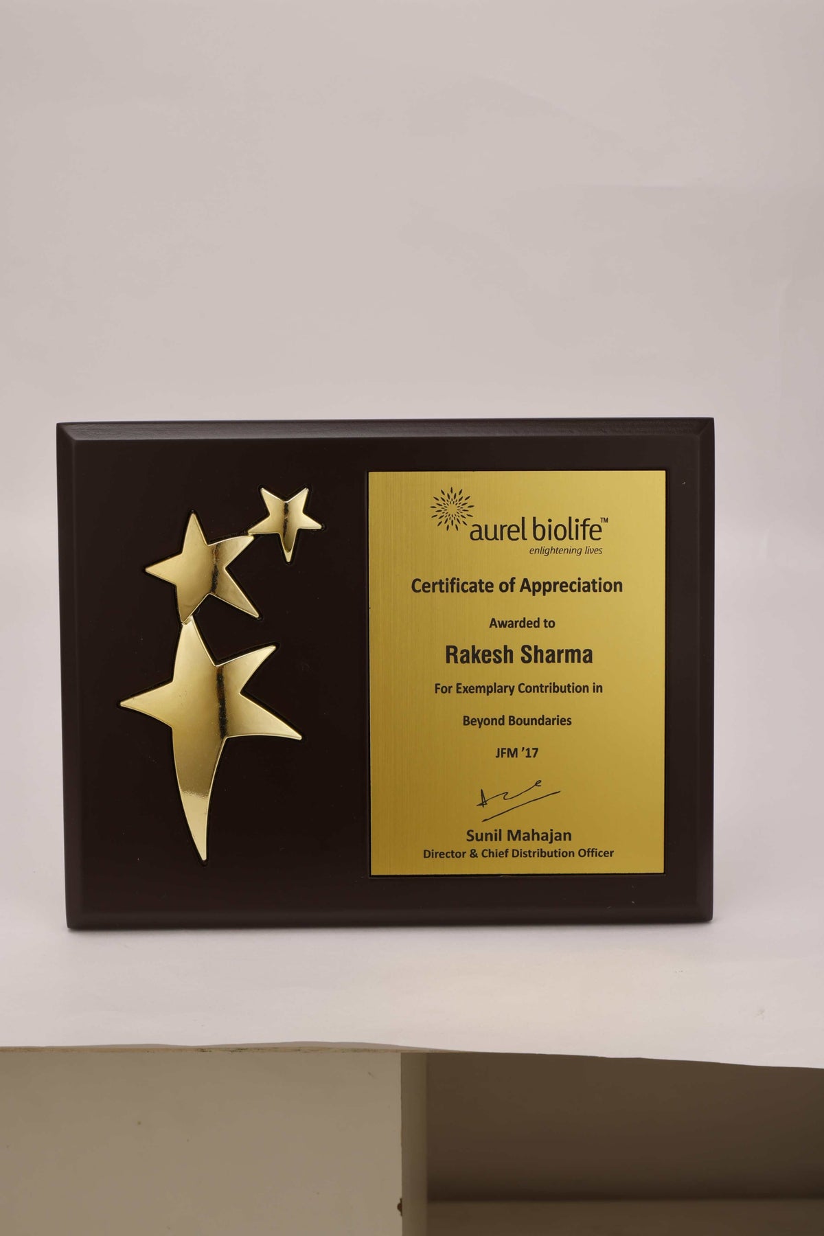 YuBingo Aurel Biolife Trophy - Corporate Award - Trophies &amp; Awards by YuBingo