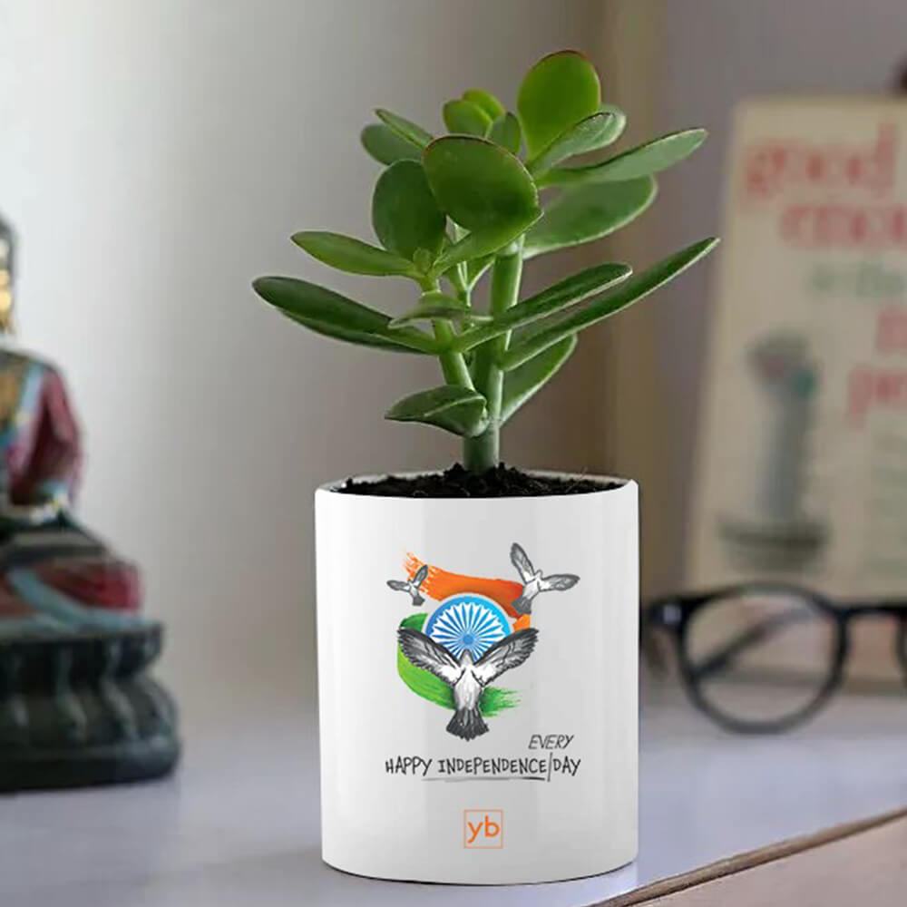 Limited Edition Customized Ceramic Planter - Freedom Every Day (Without Plant)