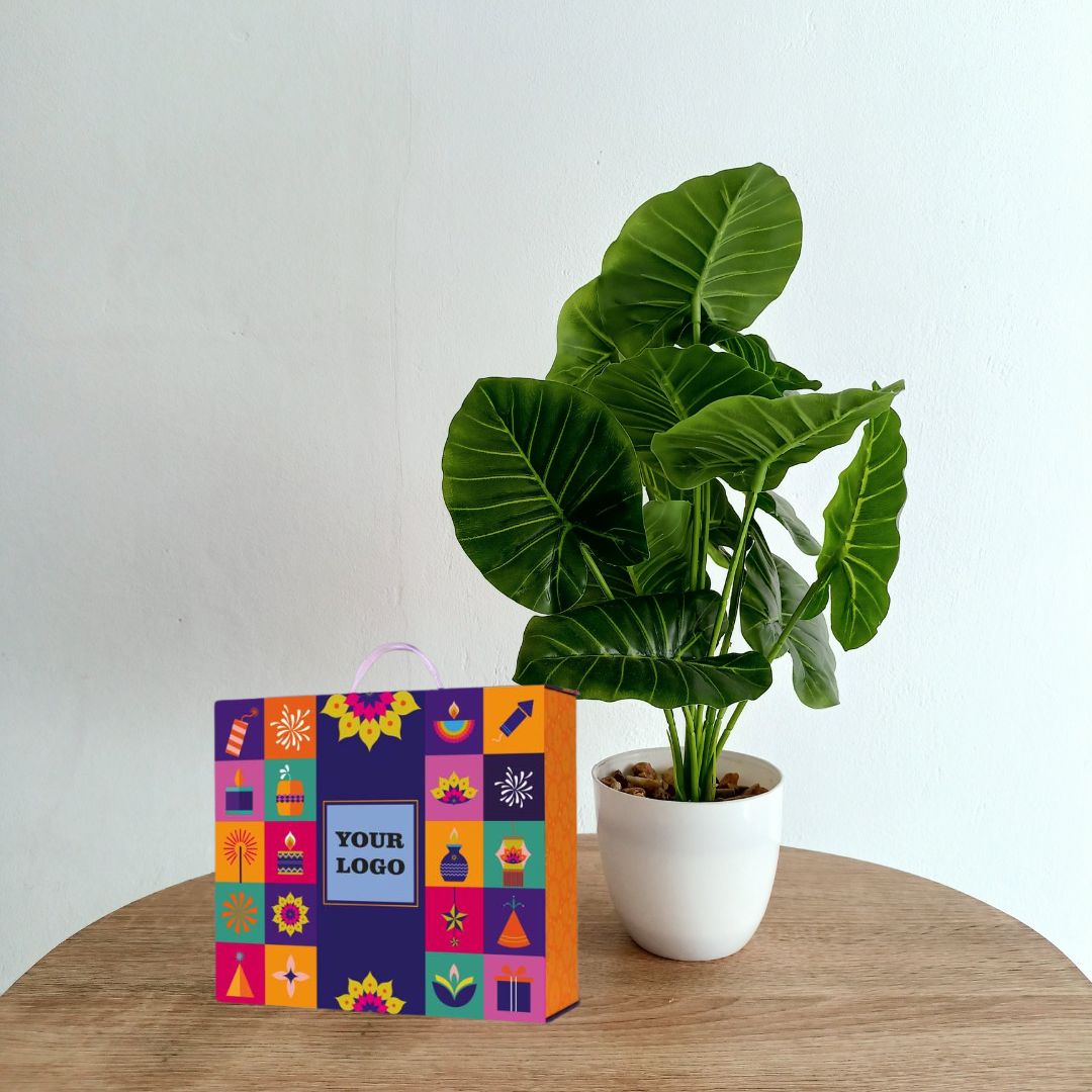 Q210 – Celebration Set of 5