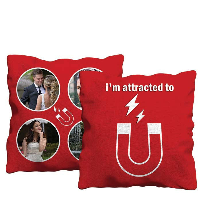 I'm Attracted to You Cushion