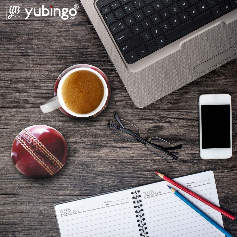 Cricket Ball Coasters-Image4