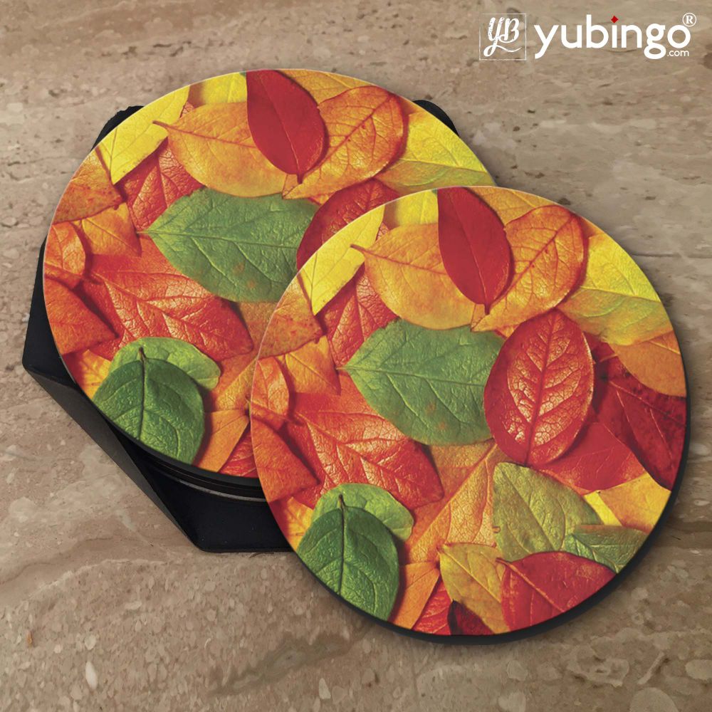 Fallen Leaves Coasters-Image5