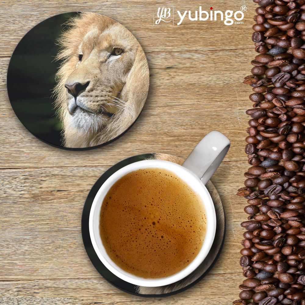 Lion Coasters-Image2