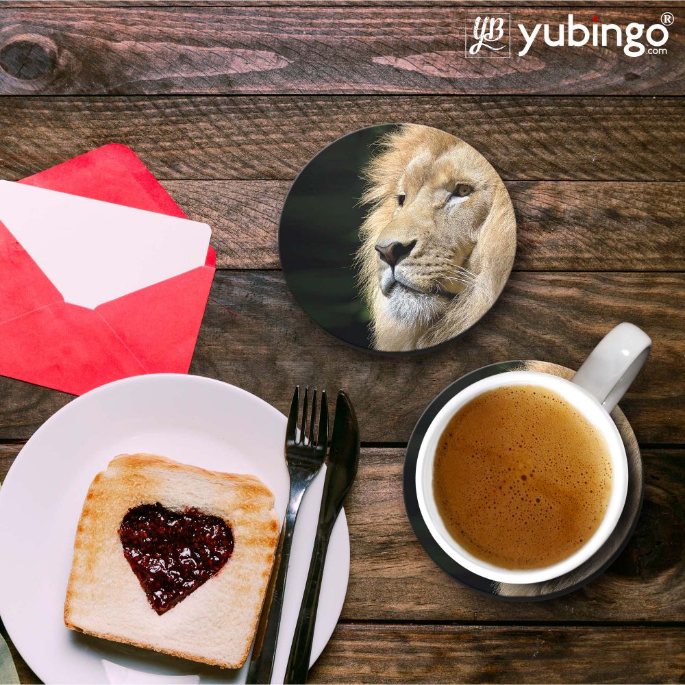 Lion Coasters-Image3