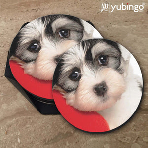 Puppy With Pillow Coasters-Image5