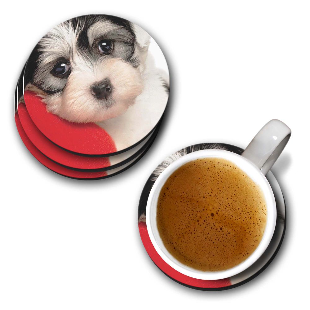 Puppy With Pillow Coasters