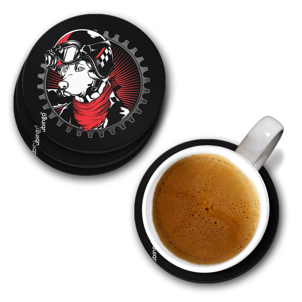 Reborn to Wild Coasters