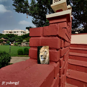 Lion Car Hanging-Image3